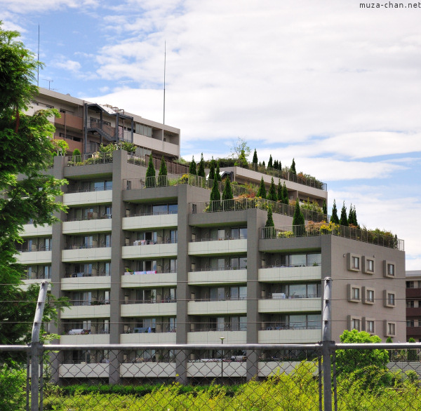 Building in Suginami