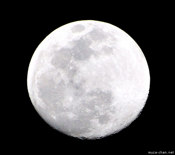 Moon Moon