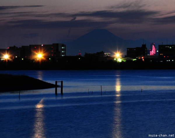 Mount Fuji, view from Kasai Rinkai Park