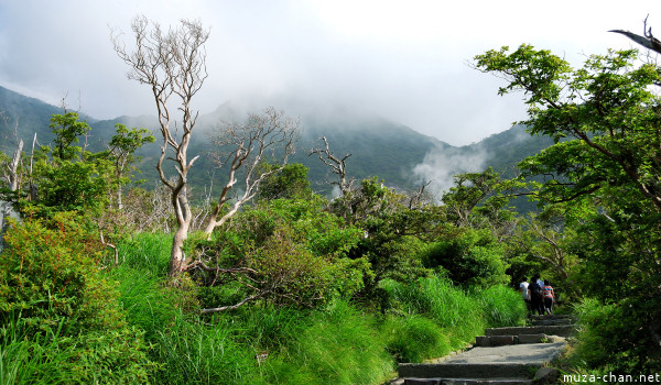 Owakudani Hakone