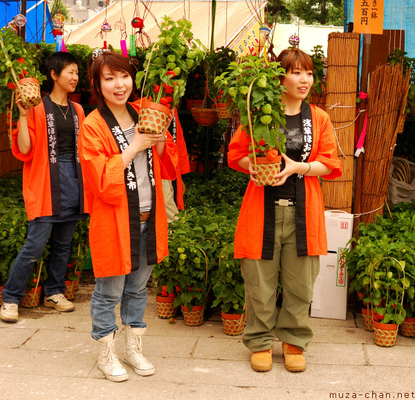 Sellers at Hozuki Ichi, Senso-ji Temple, Asakusa, Tokyo