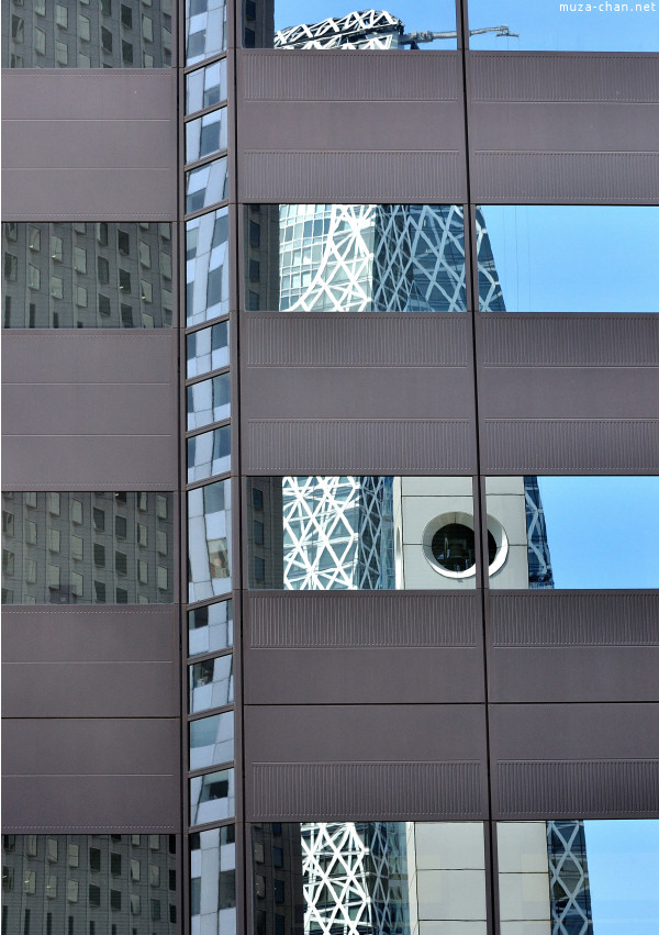 Reflection Reflection