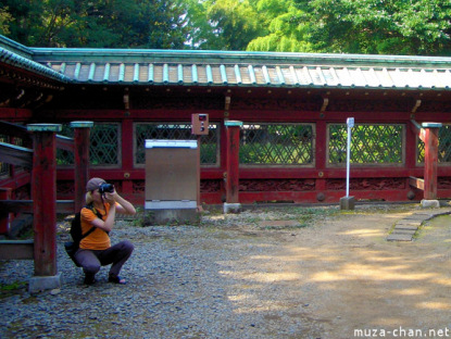 Toshougu Shrine Ueno