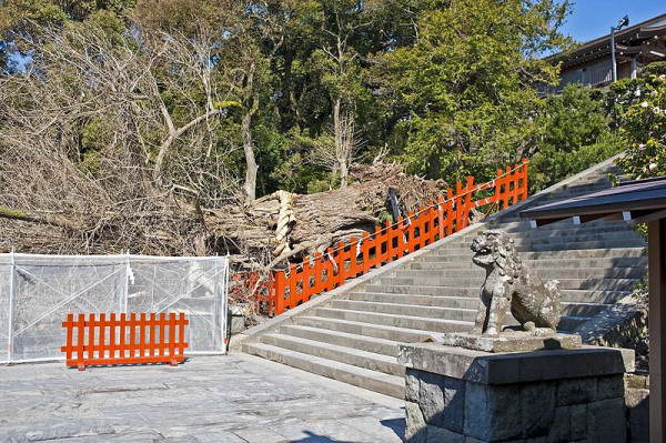 Tsurugaoka Hachimangu Shrine Kamakura Tsurugaoka Hachimangu Shrine Kamakura