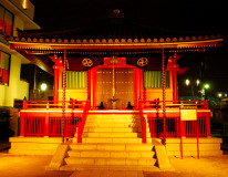Muza chan's Japan Photo Gallery