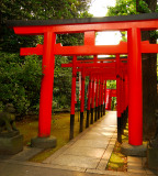Muza chan's Japan Photo Gallery