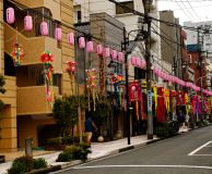 Muza chan's Japan Photo Gallery