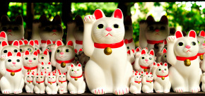 Muza chan's Japan Photo Gallery