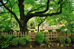 Muza chan's Japan Photo Gallery
