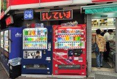 Muza chan's Japan Photo Gallery