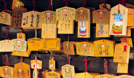 Muza chan's Japan Photo Gallery