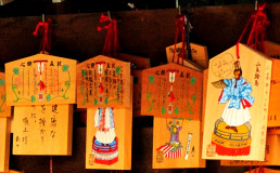Muza chan's Japan Photo Gallery