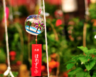 Muza chan's Japan Photo Gallery