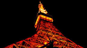 Muza chan's Japan Photo Gallery