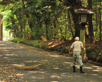 Muza chan's Japan Photo Gallery