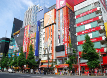 Muza chan's Japan Photo Gallery