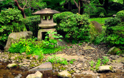 Muza chan's Japan Photo Gallery