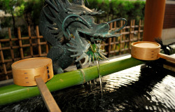 Muza chan's Japan Photo Gallery