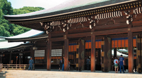 Muza chan's Japan Photo Gallery