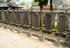 Muza chan's Japan Photo Gallery