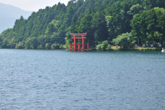 Muza chan's Japan Photo Gallery