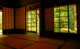 Muza chan's Japan Photo Gallery
