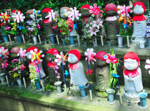 Muza chan's Japan Photo Gallery