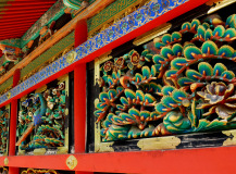 Muza chan's Japan Photo Gallery