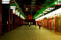 Muza chan's Japan Photo Gallery