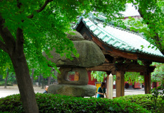 Muza chan's Japan Photo Gallery