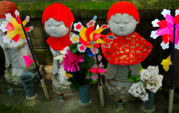 Muza chan's Japan Photo Gallery