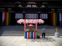 Customs and traditions of Japan - Hana Matsuri