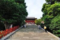 The Sad Story of the Hidden Ginkgo from Tsurugaoka Hachimangu