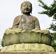 A Japan Photo per Day - Gokoku-ji Temple Daibutsu