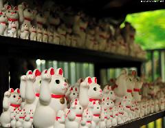 A Japan Photo per Day - Hundreds of Maneki Neko