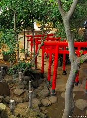 A Japan Photo per Day - Torii Pathway