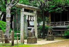 A Japan Photo per Day - Stone Torii