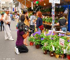 A Japan Photo per Day - TV Cameraman at Iriya Asagao Ichi