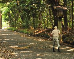 A Japan Photo per Day - The Shrine Sweeper