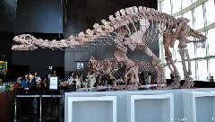 A Japan Photo per Day - The Dinosaurs from Roppongi Hills