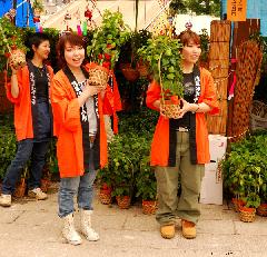 A Japan Photo per Day - Hozuki Ichi Sellers