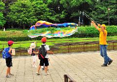 A Japan Photo per Day - Street performance in Ueno Park