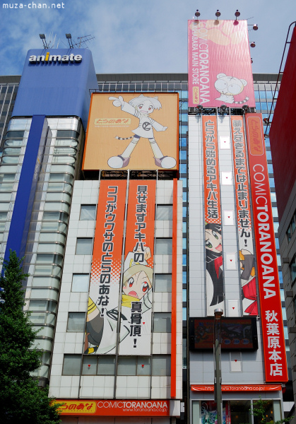 Tora no Ana building on Chou Dori Tora no Ana building on Chou Dori