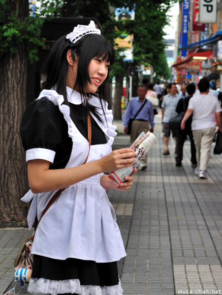 Akihabara Maid Akihabara Maid