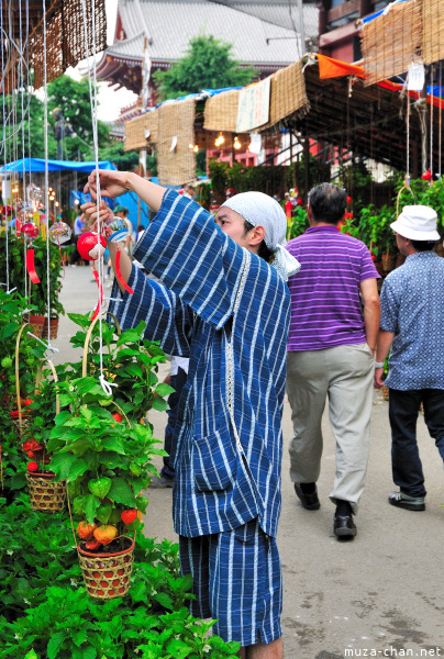 Hozuki Ichi (Chinese lantern plant fair) Hozuki Ichi (Chinese lantern plant fair)
