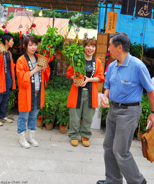Hozuki Ichi (Chinese lantern plant fair) Hozuki Ichi (Chinese lantern plant fair)