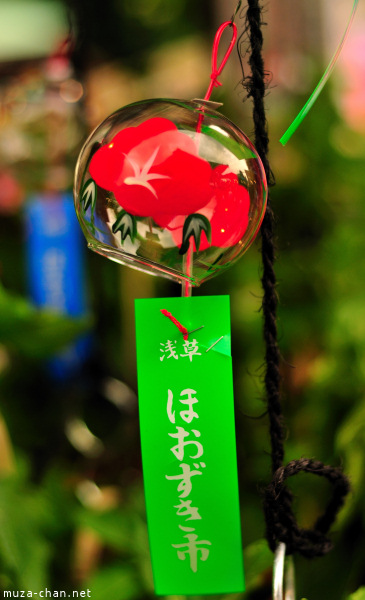 Hozuki Ichi (Chinese lantern plant fair) Hozuki Ichi (Chinese lantern plant fair)