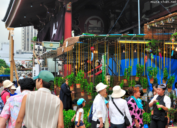 Hozuki Ichi (Chinese lantern plant fair) Hozuki Ichi (Chinese lantern plant fair)