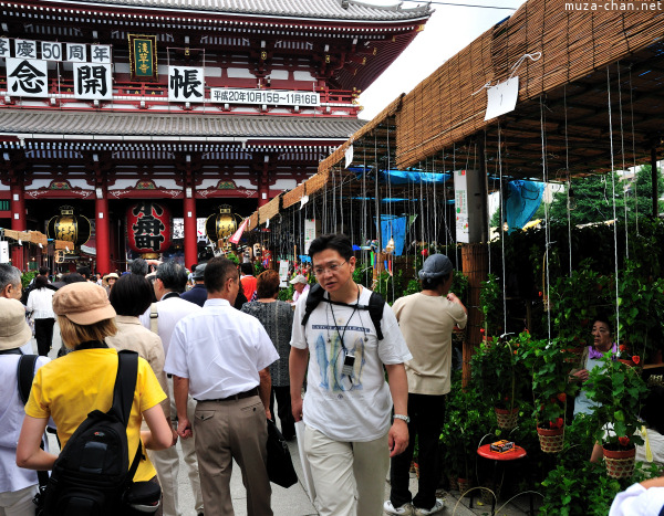 Hozuki Ichi (Chinese lantern plant fair) Hozuki Ichi (Chinese lantern plant fair)