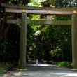 Torii at Meiji Jingu
